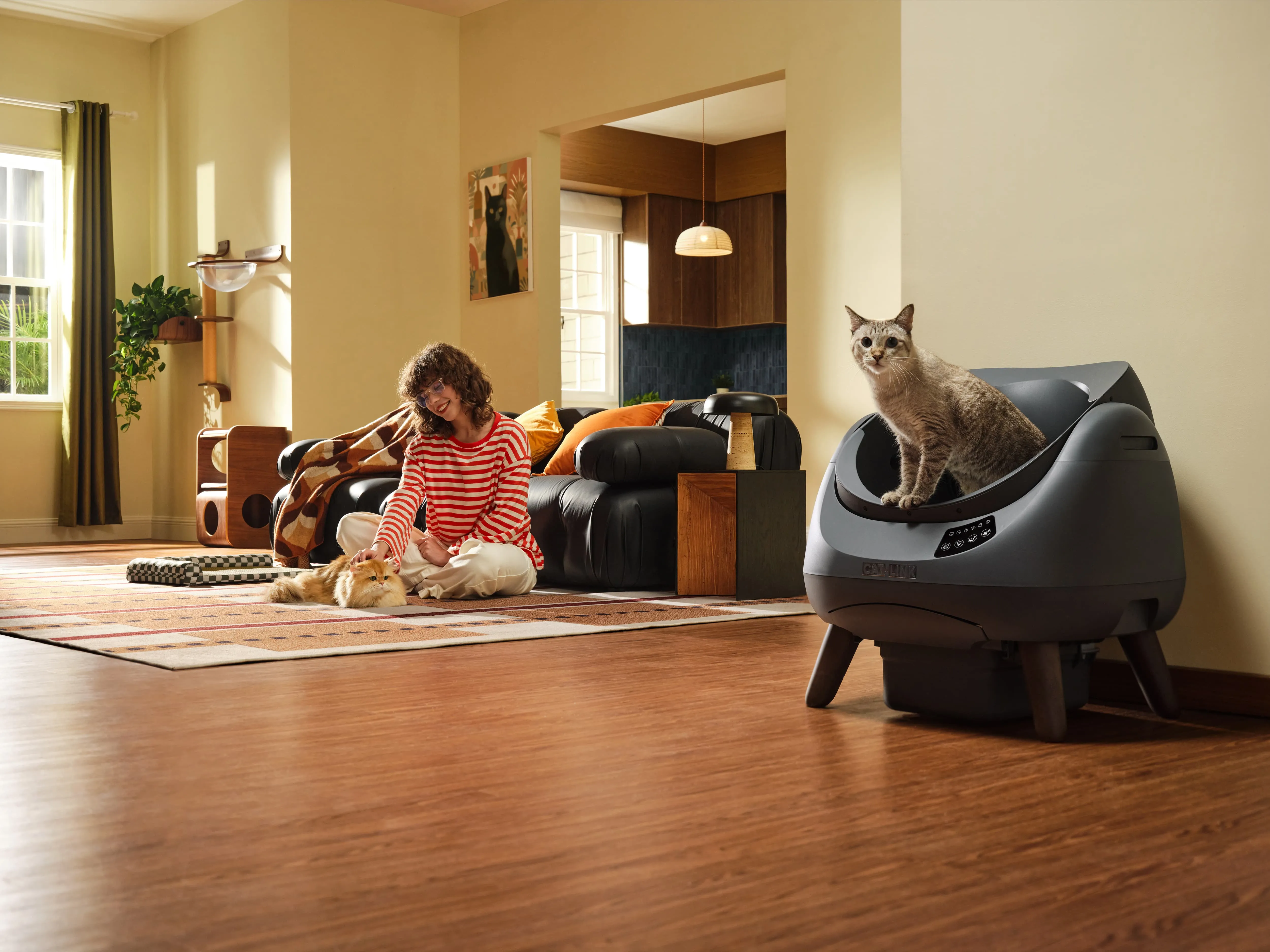 Smart Care, Happy Cats
